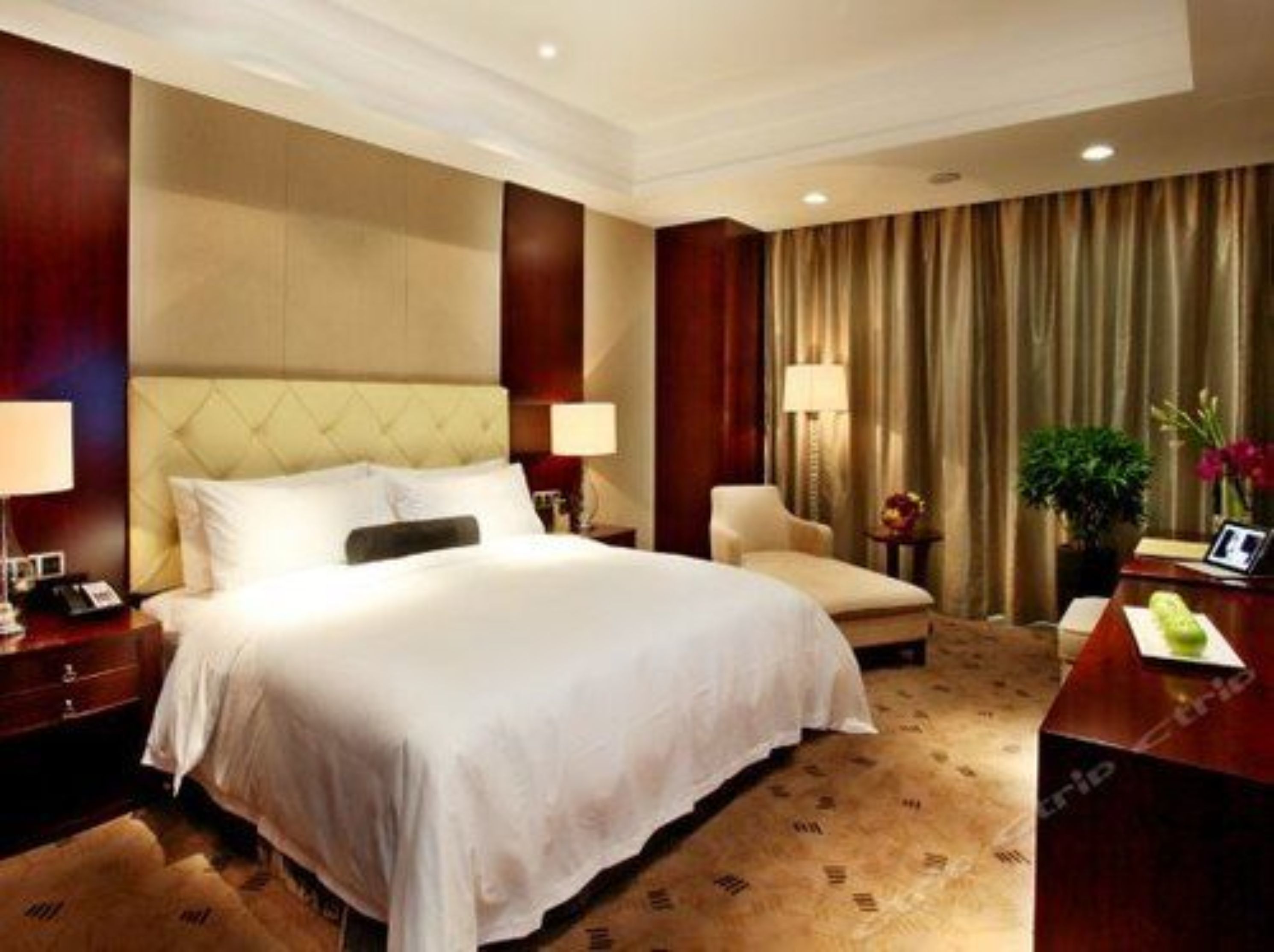 Una habitación de hotel con una cama grande, un escritorio con una silla, una mesita de noche y una planta en maceta.