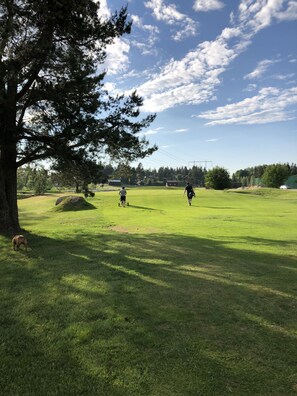 Property grounds - Norrfly Herrgård AB (Kilafors)