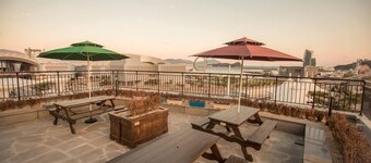 Paulownia Hostel & Guest House