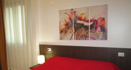 B&B Elisir