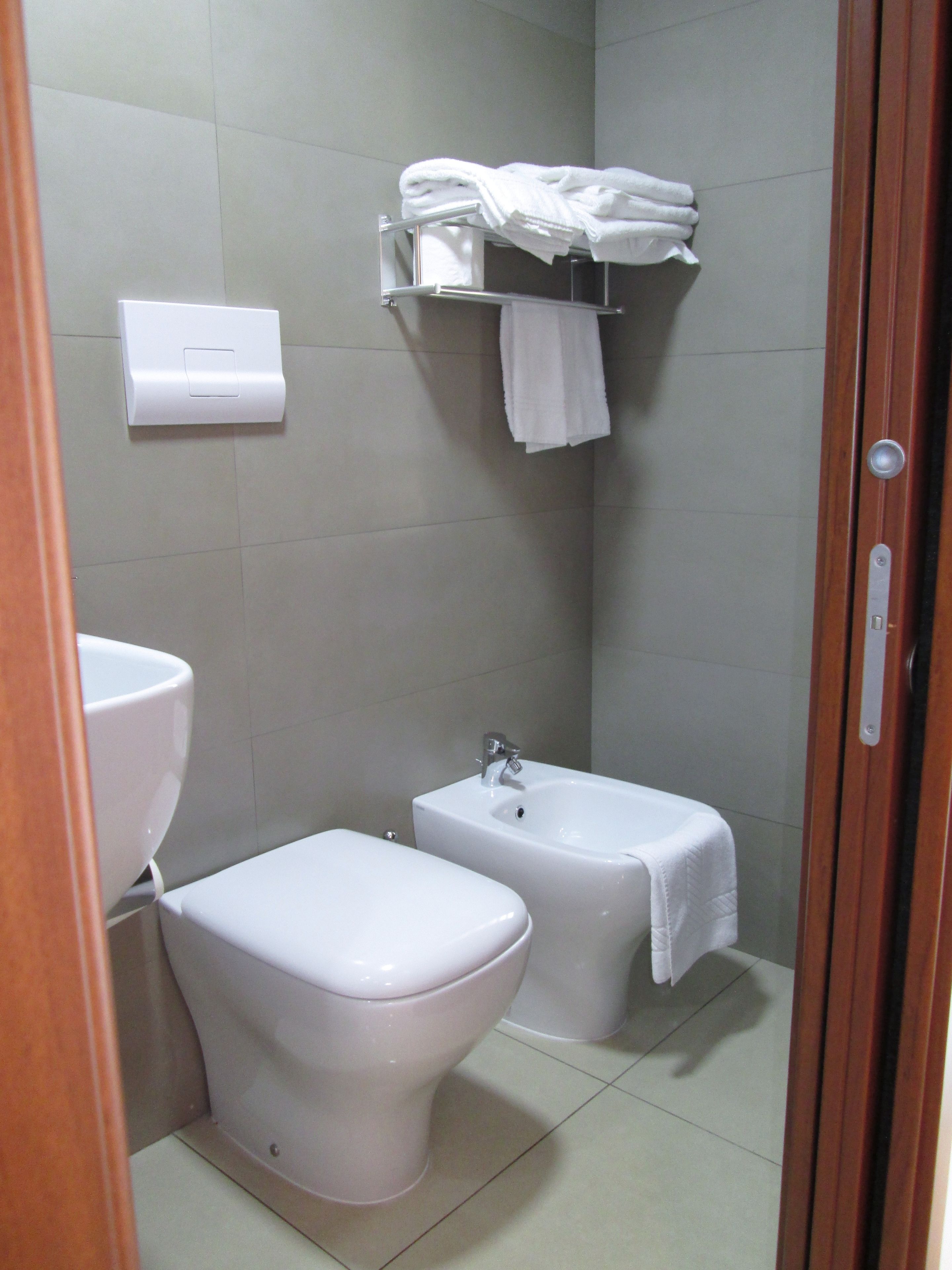 Een kleine badkamer met toilet, hygiëneschuimer en een handdoekhouder.