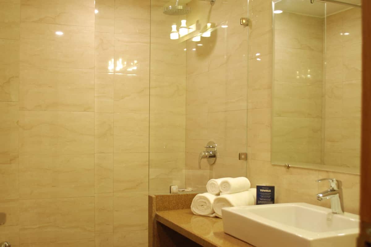 shower, rainfall showerhead, free toiletries, hair dryer