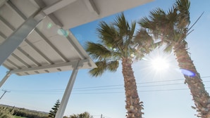 A clear sky with palm trees and a white pergola structure. - Ktima Bianco (Naxos)