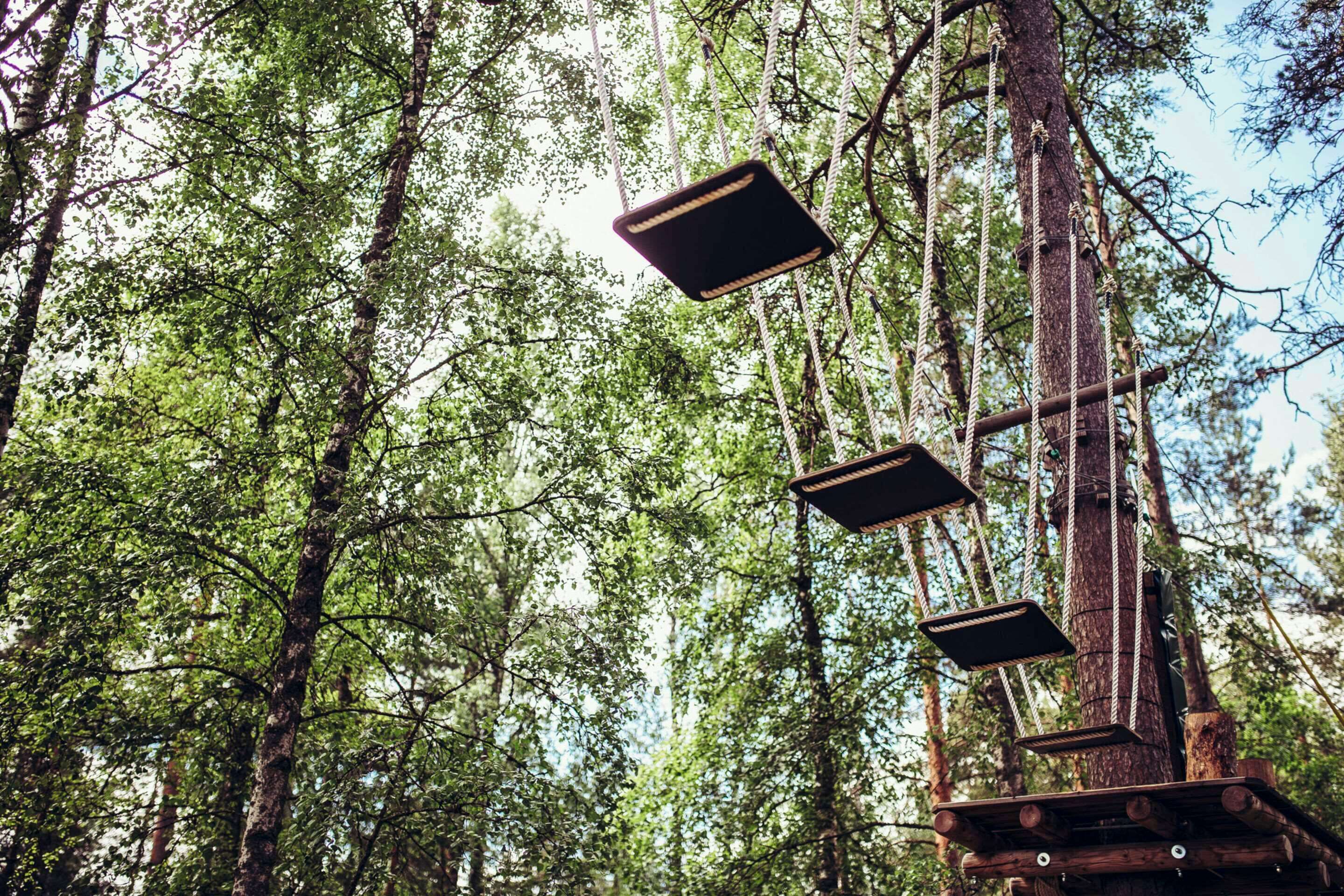A rope bridge in a forest with multiple platforms and ropes.