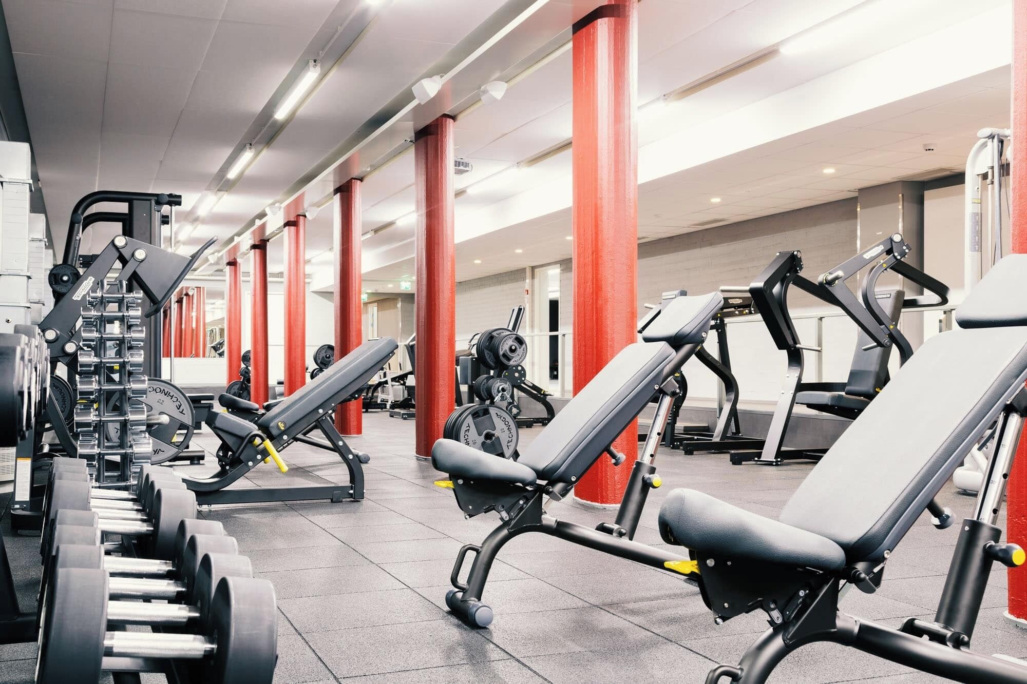 Un gimnasio con diversos equipos de ejercicio, incluyendo máquinas de pesas y mancuernas, dispuestos en filas.