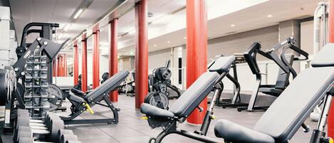 Un gimnasio con diversos equipos de ejercicio, incluyendo máquinas de pesas y mancuernas, dispuestos en filas.