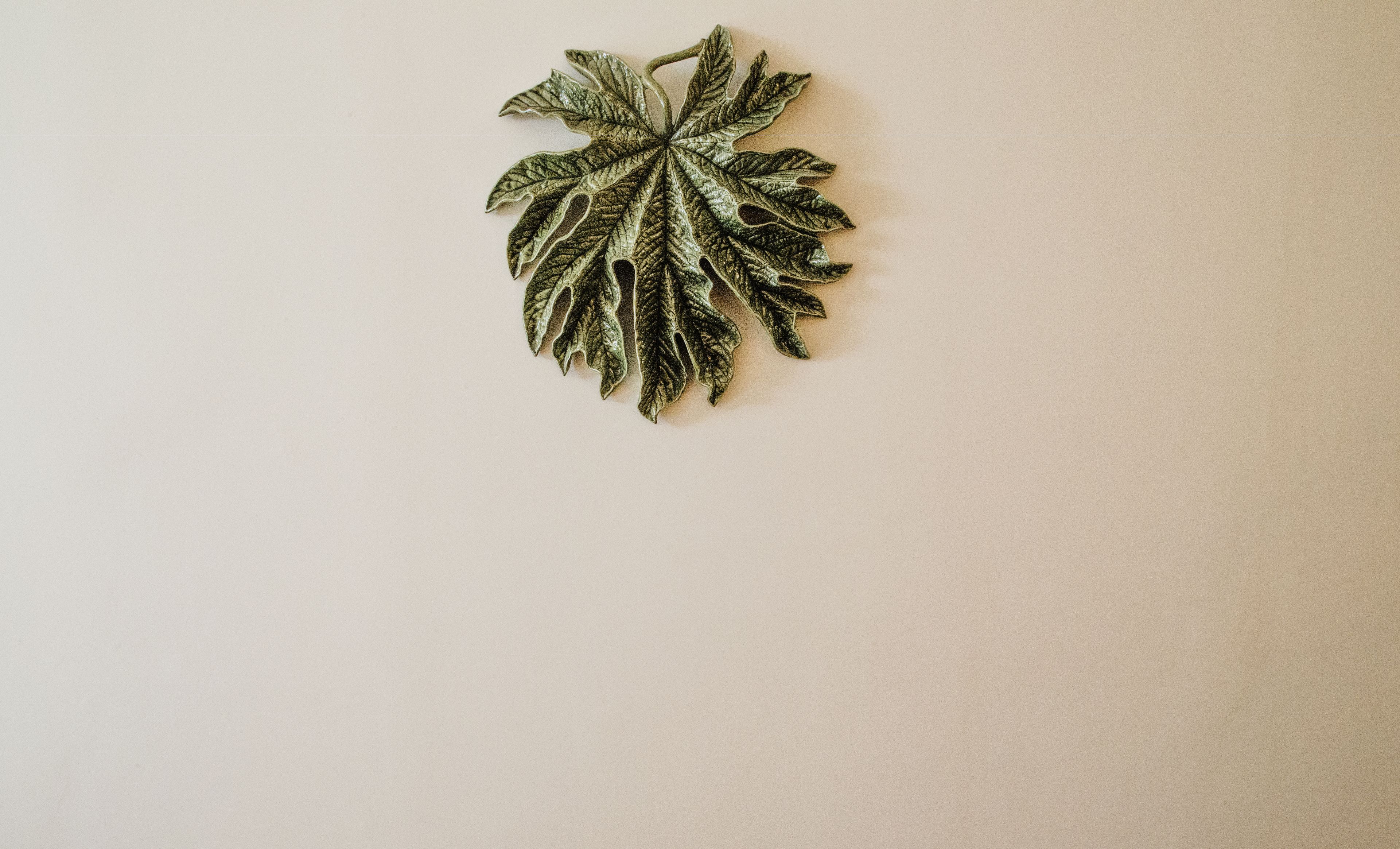 Una hoja de metal decorativa sobre una pared lisa.