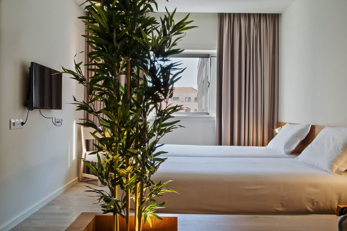 A hotel room with a bed, a TV mounted on the wall, and a large potted plant.