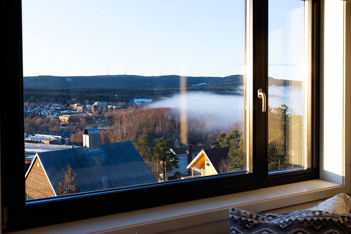 A view from a window overlooking a town with buildings, a forest, and a lake.