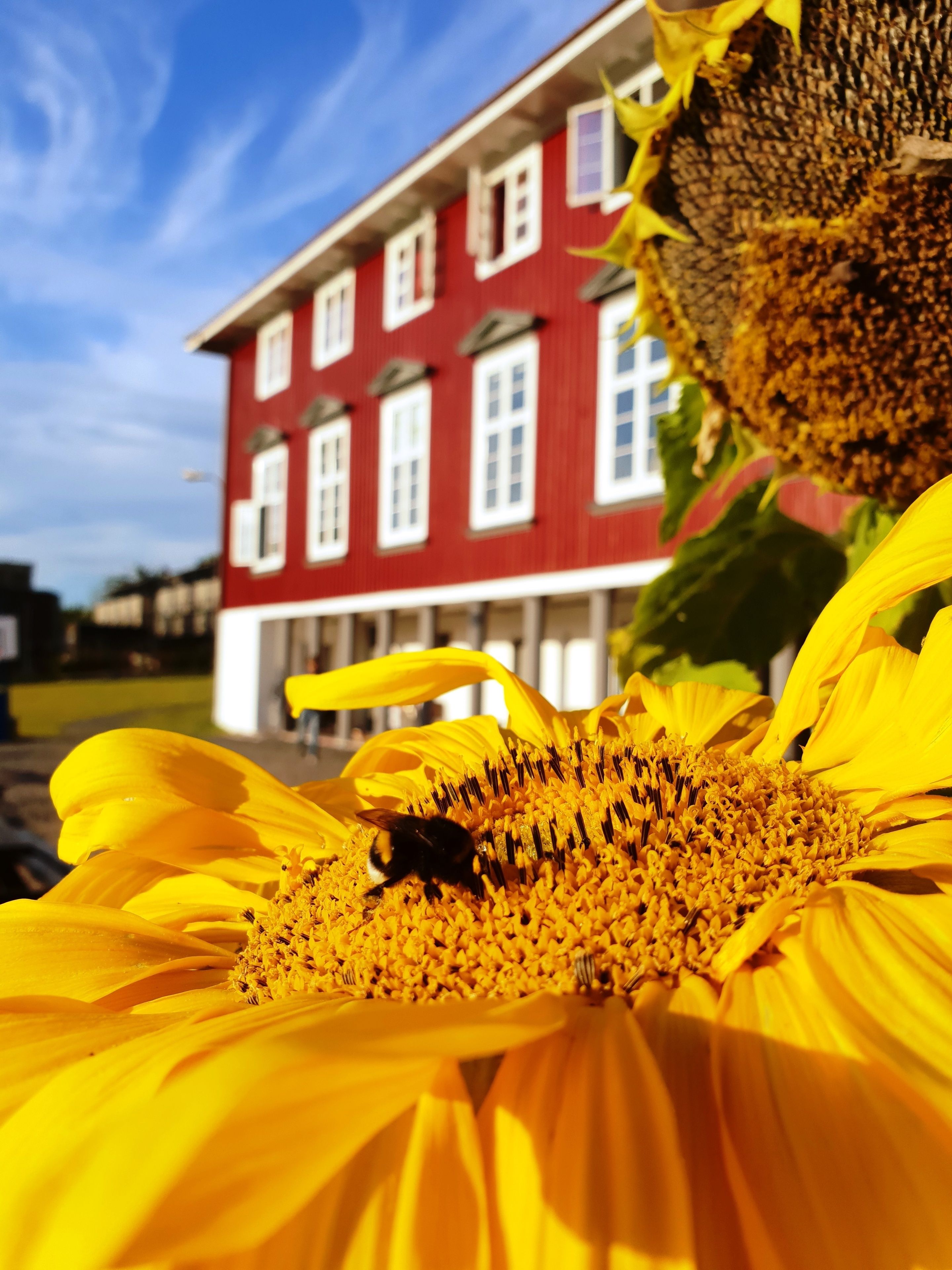 Foto - Oslo Hostel Rønningen