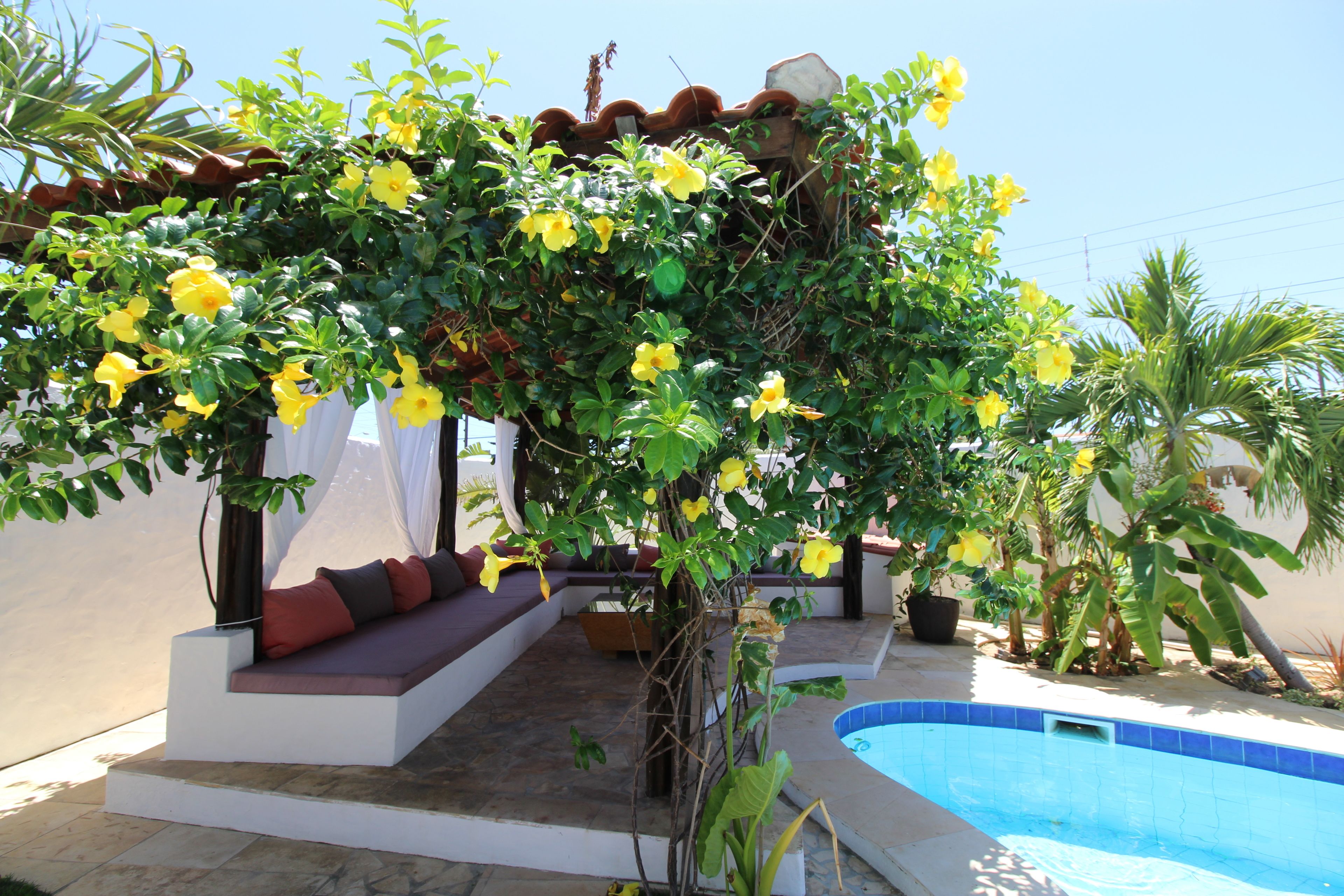 Vista desde la propiedad