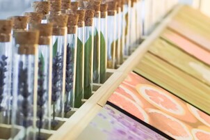 A display of various colored pencils arranged in a wooden case.