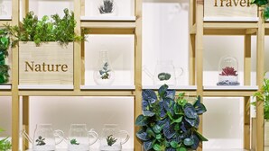 A wooden shelving unit with various potted plants and decorative items.