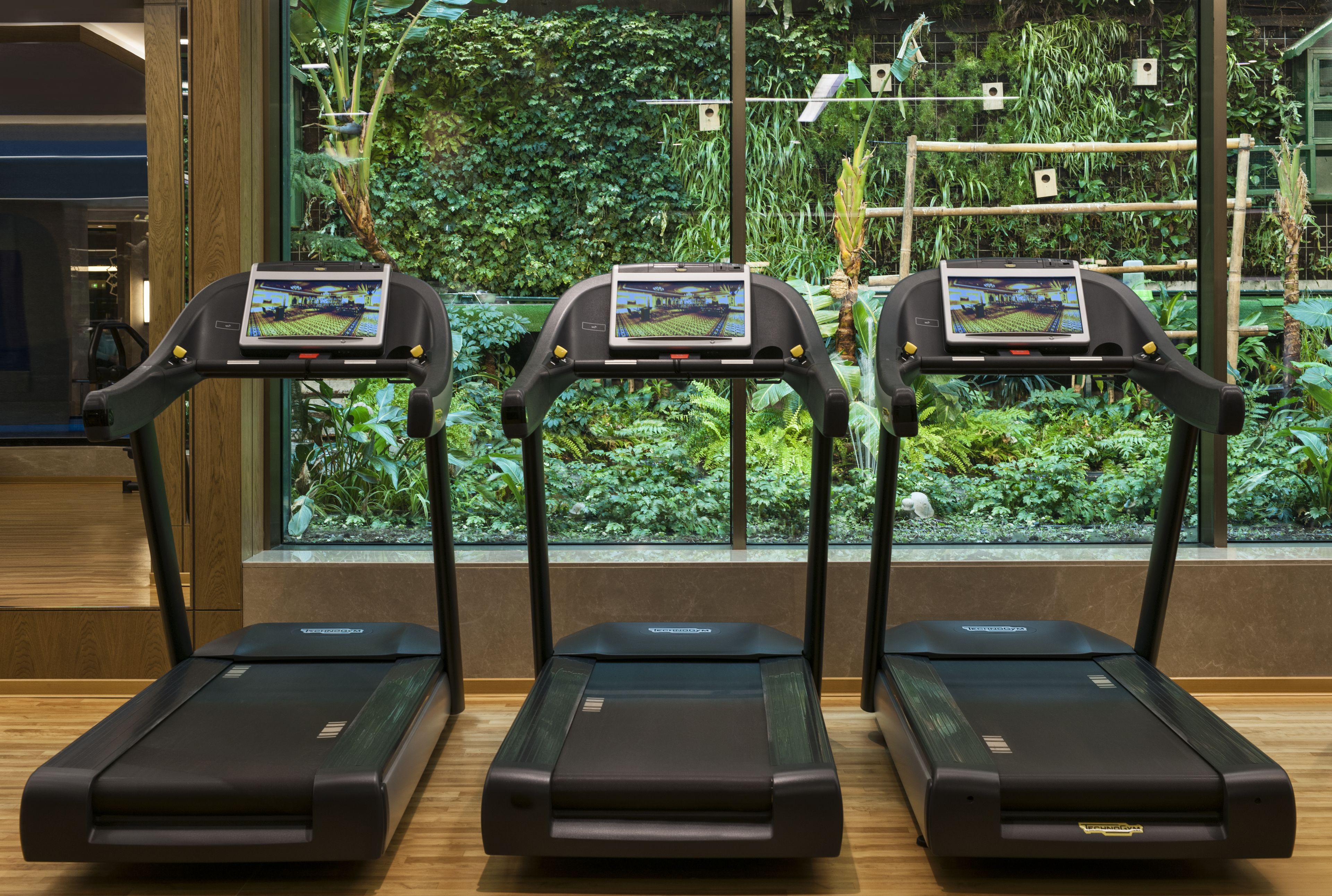 Three stationary treadmills with digital screens in a room with large windows overlooking a lush indoor garden.