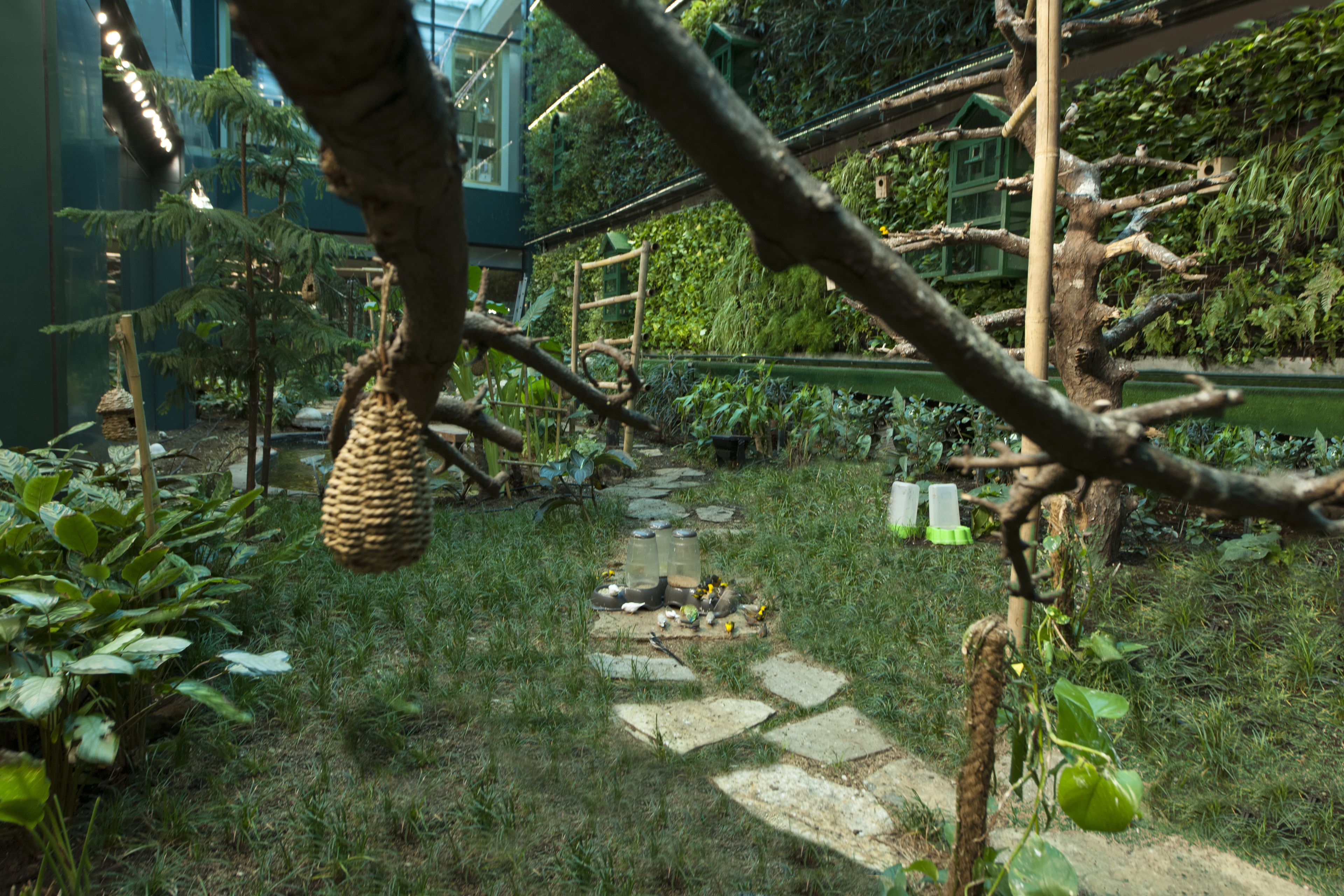 Een weelderige binnentuin met een pad van natuursteen, diverse planten en een hangmand.