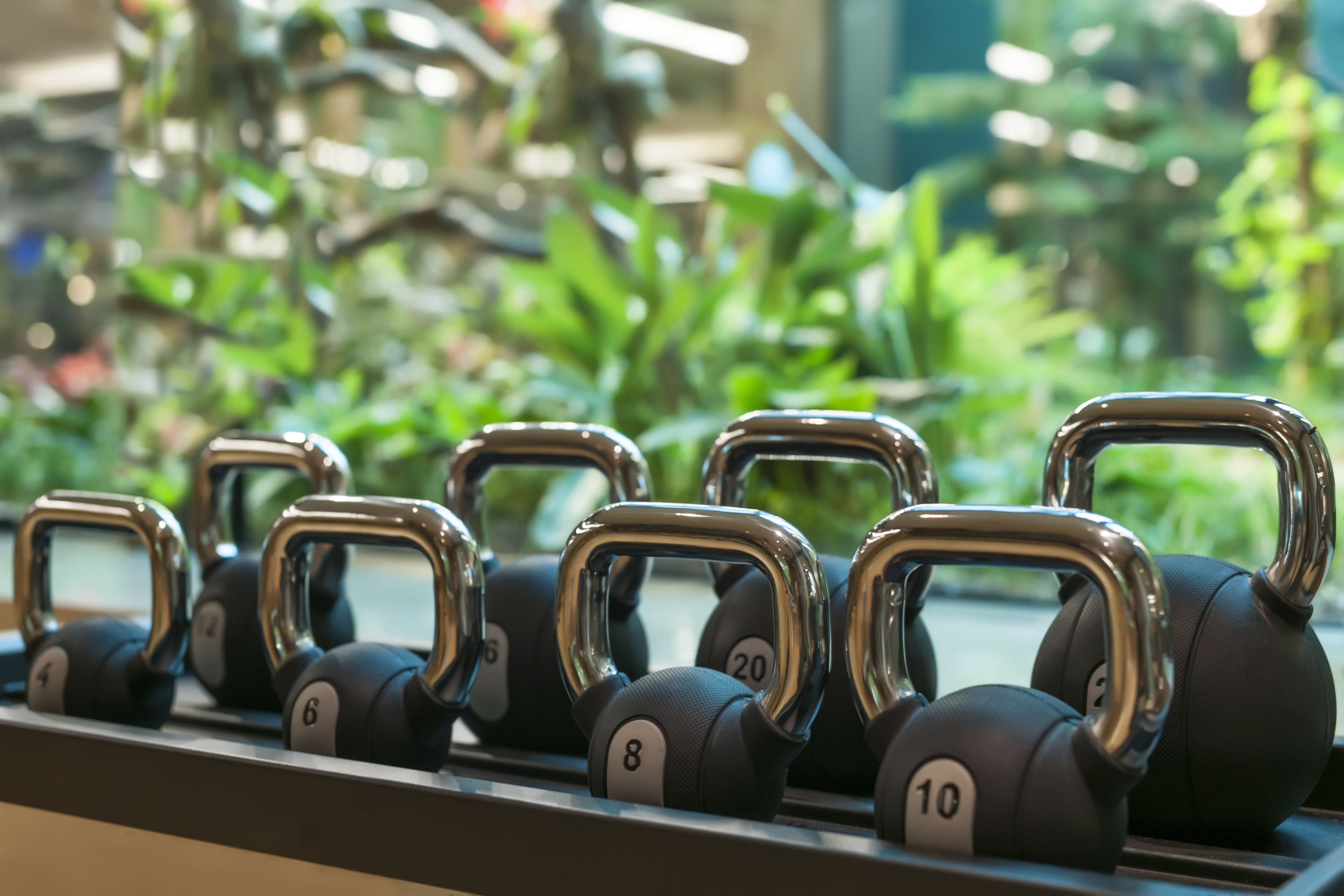 A row of dumbbells with numbers 4, 6, 8, 10, and 20 in a gym setting.