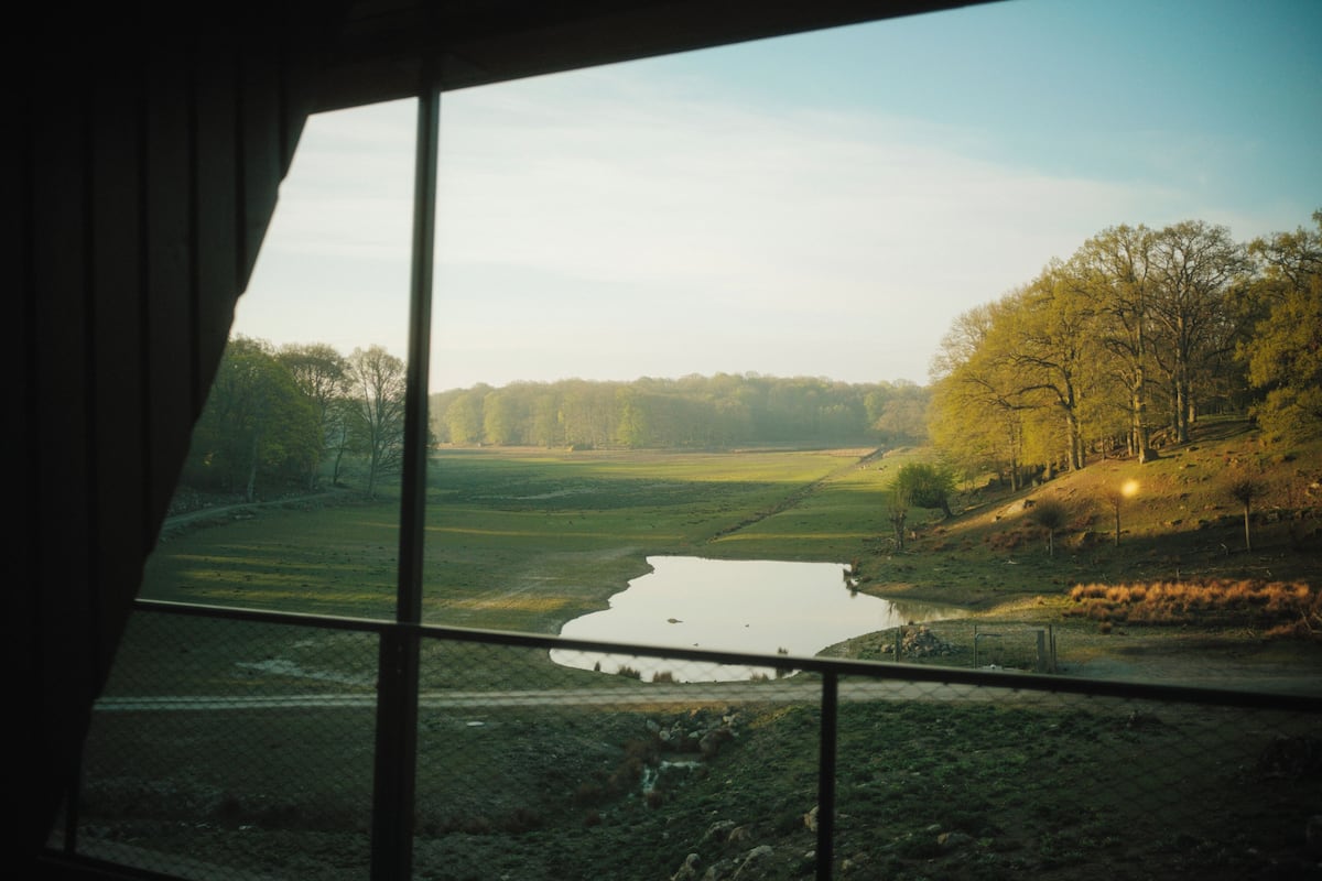View from room