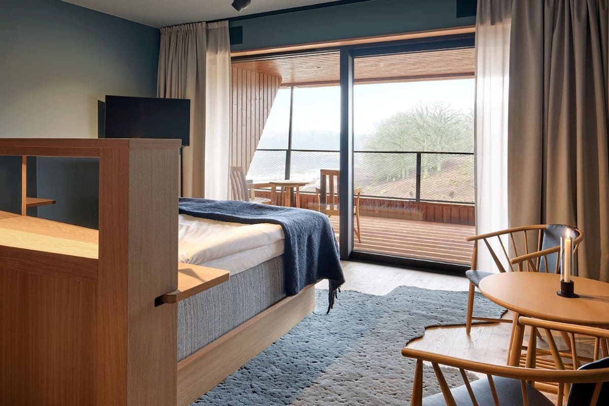 Deluxe Double Room (Arken)