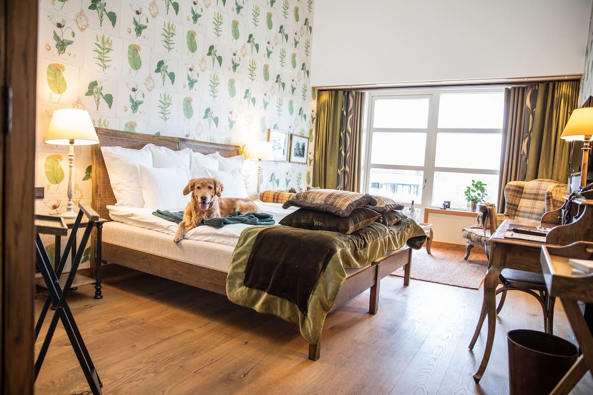 Double Room (Safarivillan)