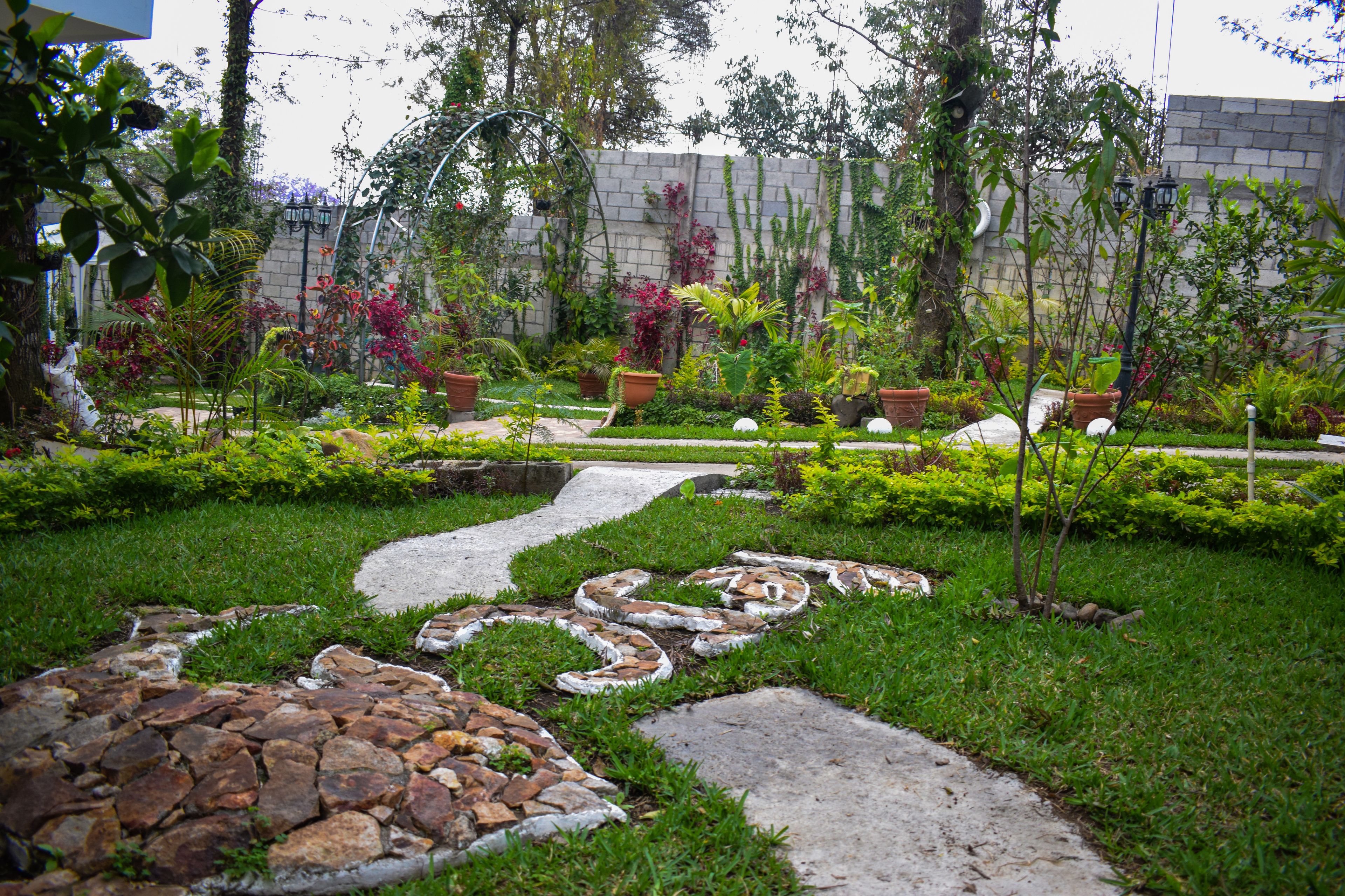 A garden with a stone pathway, various plants, and a brick wall in the background.