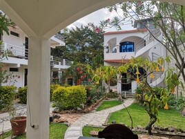 Un patio con un sendero, plantas en macetas y un edificio blanco con techo de tejas rojas.