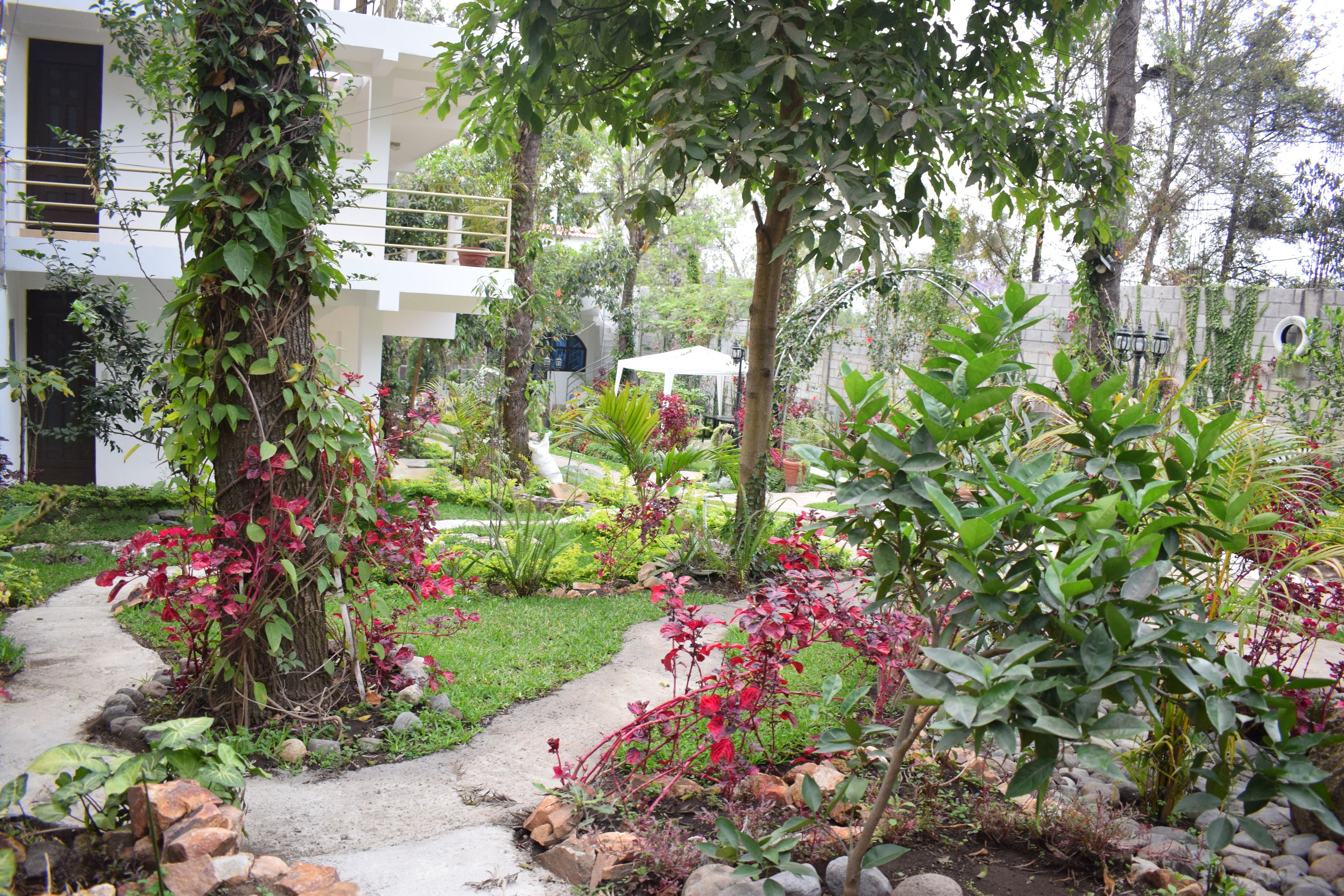 Un jardin avec un sentier, différentes plantes et un bâtiment blanc en arrière-plan.