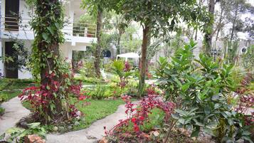 Un jardin avec un sentier, différentes plantes et un bâtiment blanc en arrière-plan.