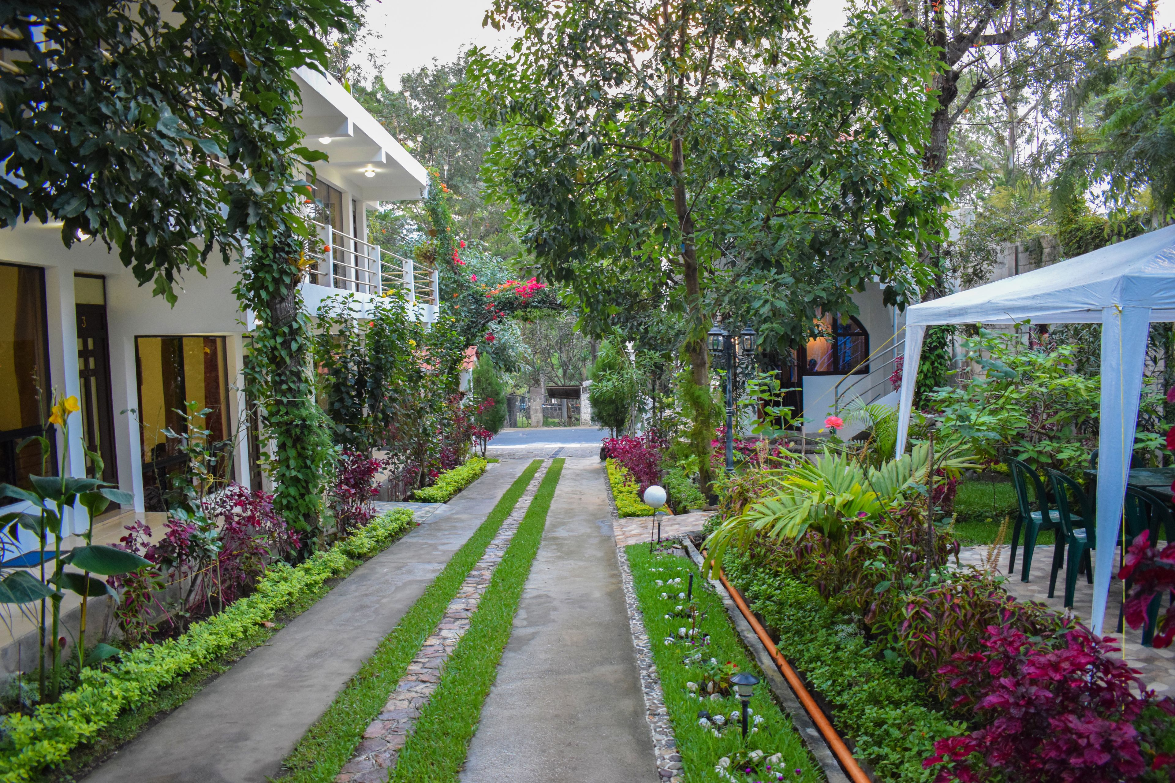 Un sendero de jardín que conduce a un edificio con fachada blanca y toldo azul.