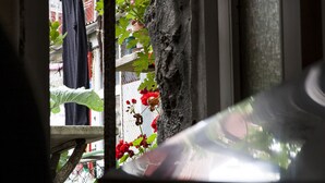 アパートメント 1 ベッドルーム | 部屋からの景観