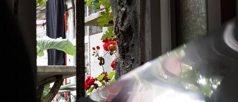 Apartment, 1 Schlafzimmer | Ausblick vom Zimmer