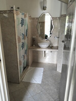 Standaard kamer | Badkamer | Een douche, handdoeken