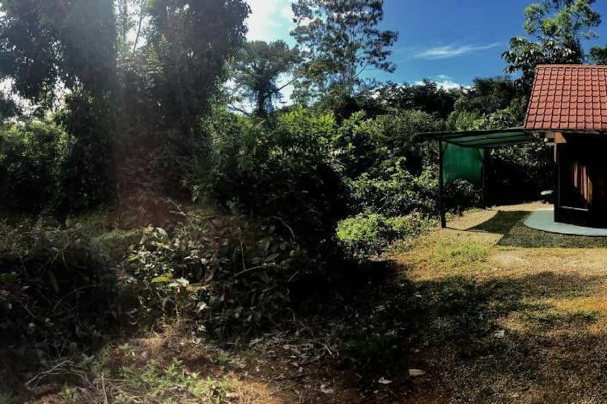 Familien-Ferienhütte, 1 Schlafzimmer, Kochnische, Bergblick | Hochwertige Bettwaren, Zustellbetten, kostenloses WLAN