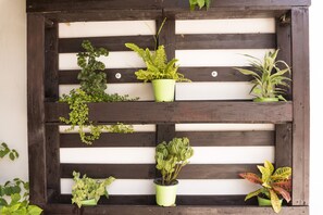 Front of property - Micro Hotel Express (San Pedro Sula)