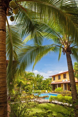 A pool surrounded by lush greenery and palm trees, with a building in the background. - Villa Nasua (Jacó)