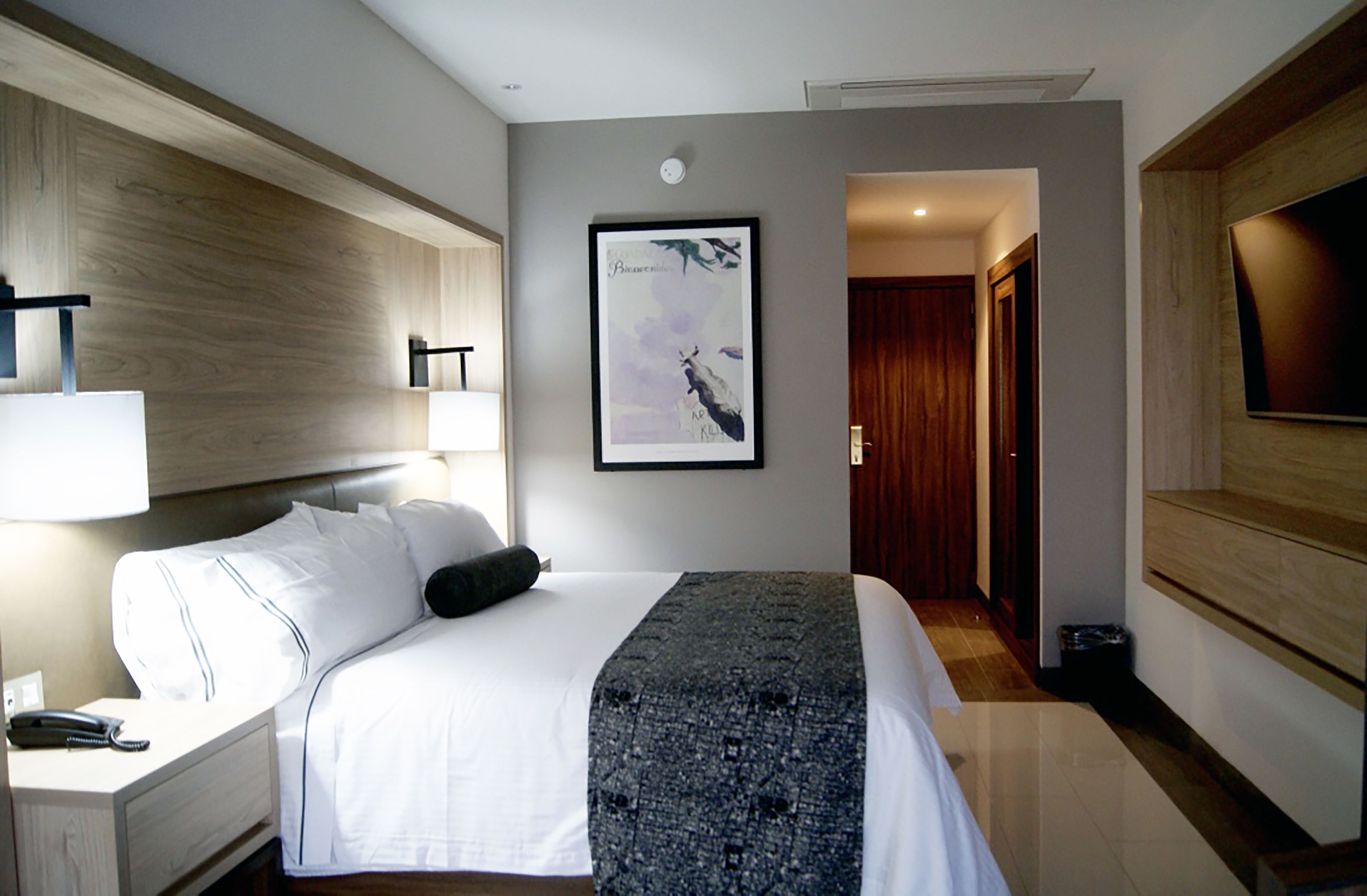 Habitación de hotel con cama, mesita de noche, lámpara, cuadro enmarcado y televisor montado en la pared.