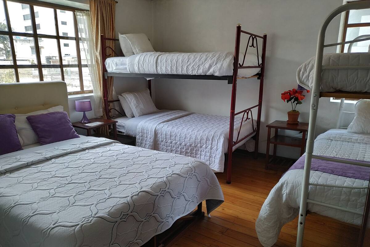 Family Room | Desk, iron/ironing board, free WiFi