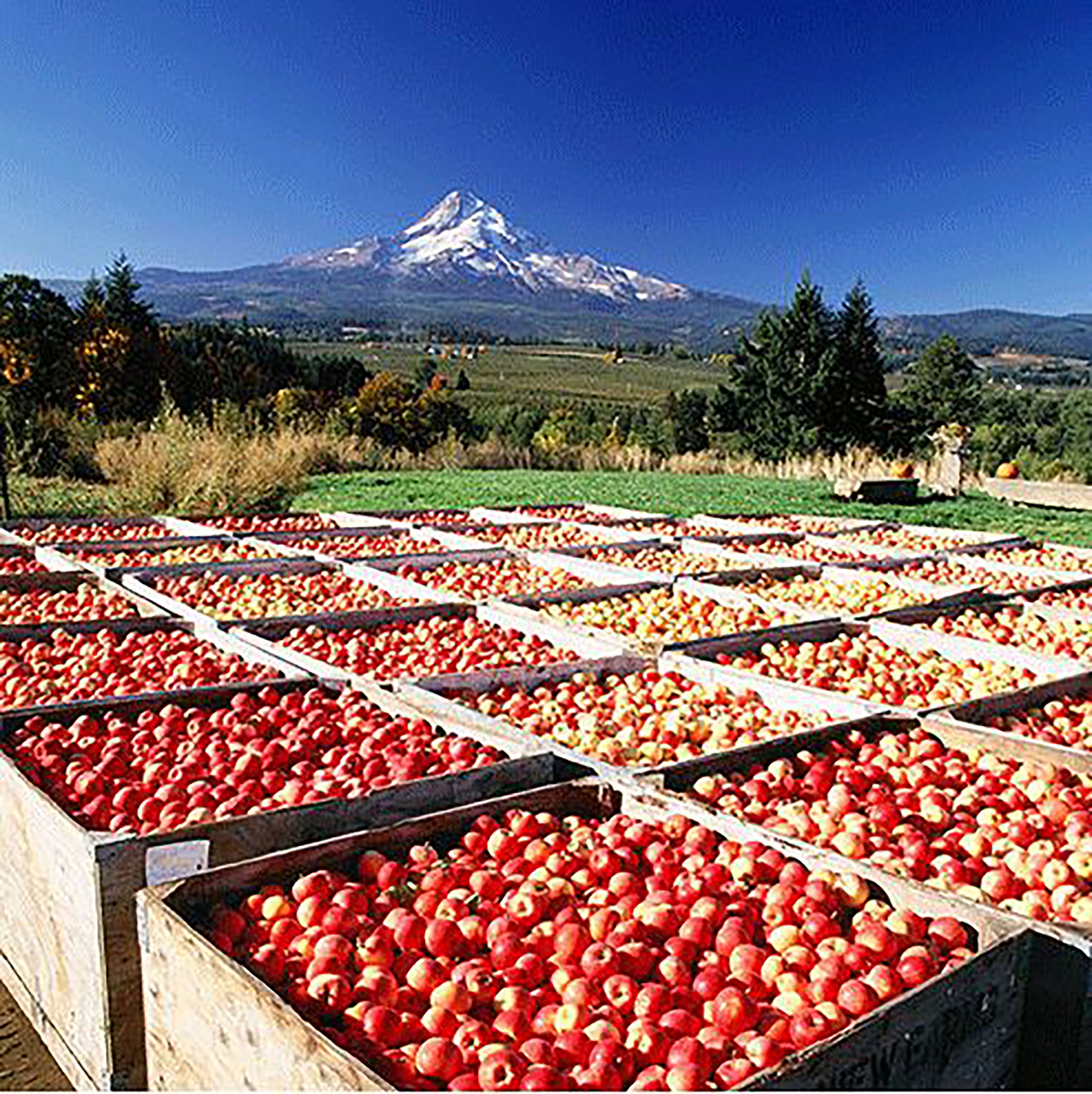 children’s activities