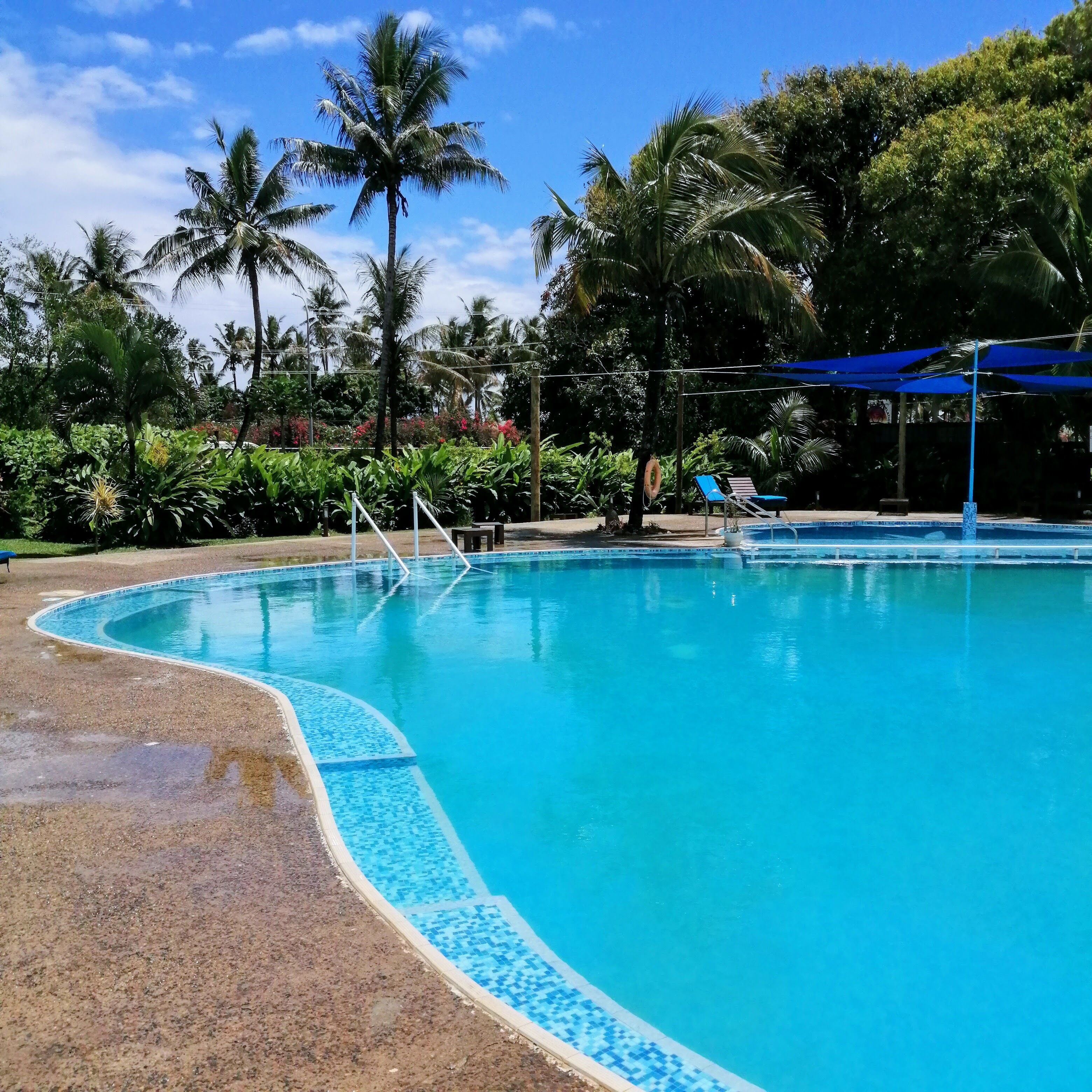 A clear blue swimming pool with a tiled edge, surrounded by lush greenery and palm trees.
