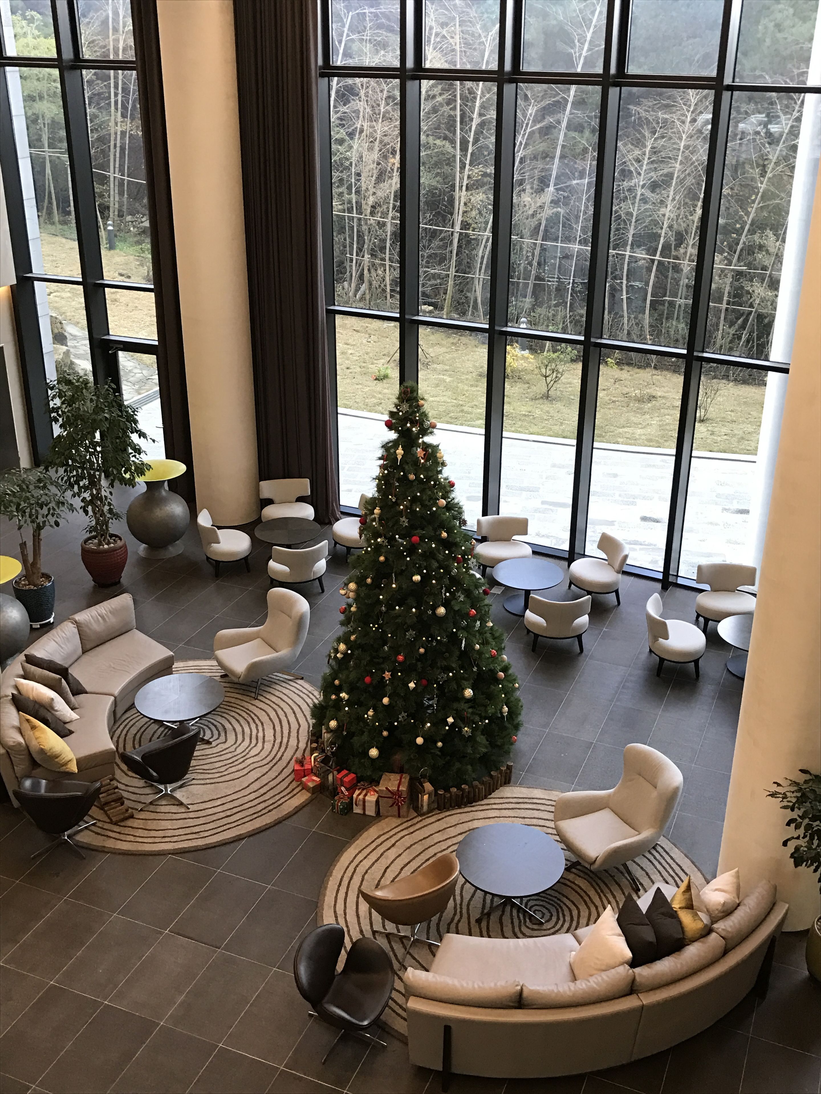 A spacious lobby with a large Christmas tree, comfortable seating, and large windows offering a view of the outdoors.