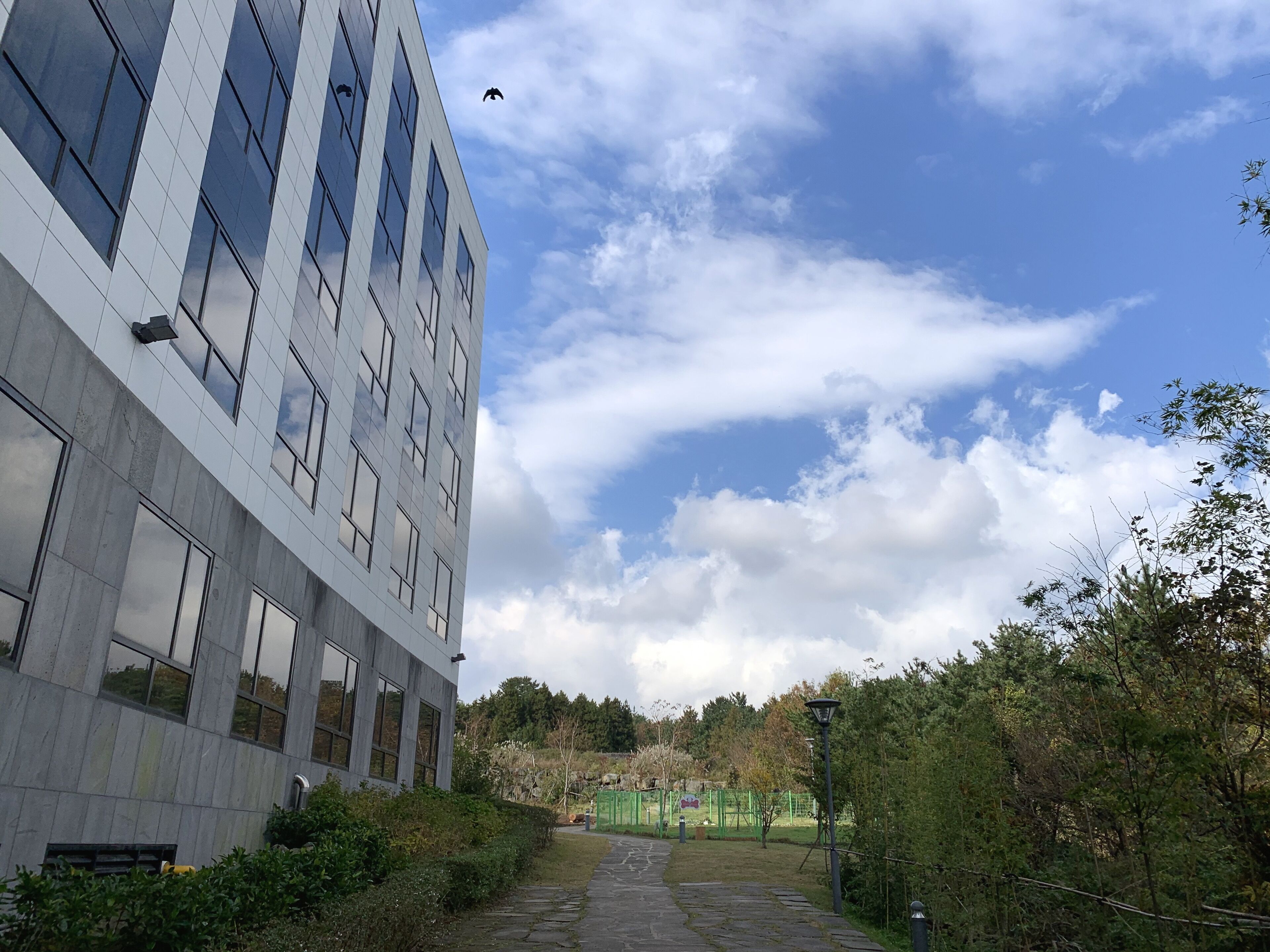 A modern building with large windows and a stone pathway leading to a green area.