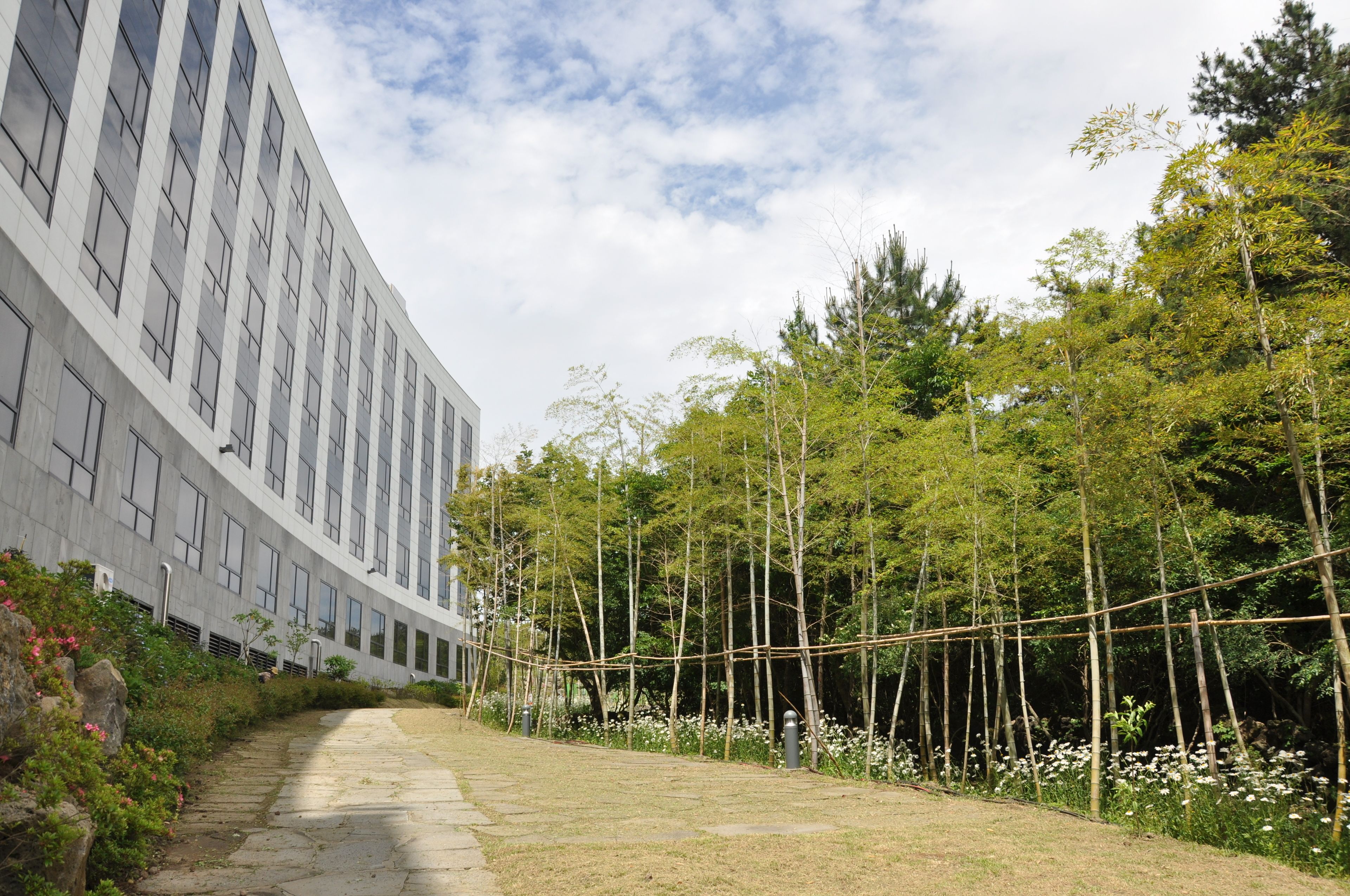 Photo - Hotel Nanta Jeju