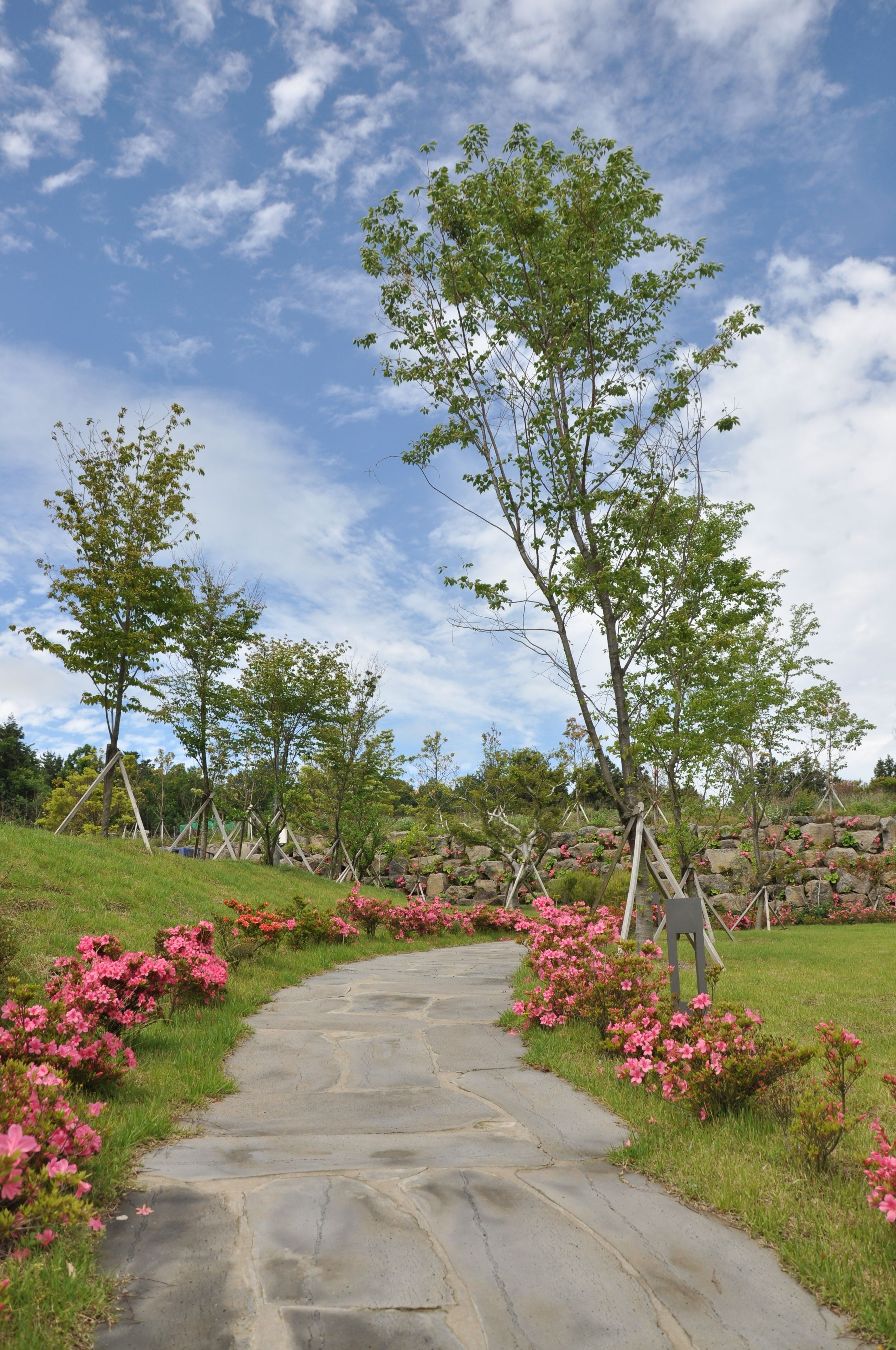 Un camí de pedra que travessa un jardí amb flors roses i arbres.