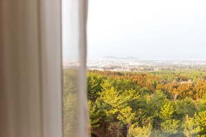 Vista a través de una ventana con cortina, mostrando un área boscosa y una ciudad lejana.