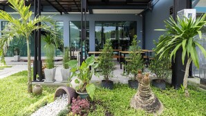 Un espace extérieur aménagé avec des plantes en pot et une façade de bâtiment au style moderne.