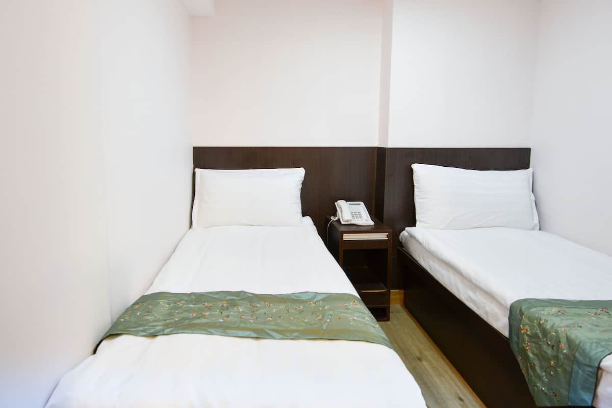 Standaard Twin kamer | Een strijkplank/strijkijzer, gratis wifi