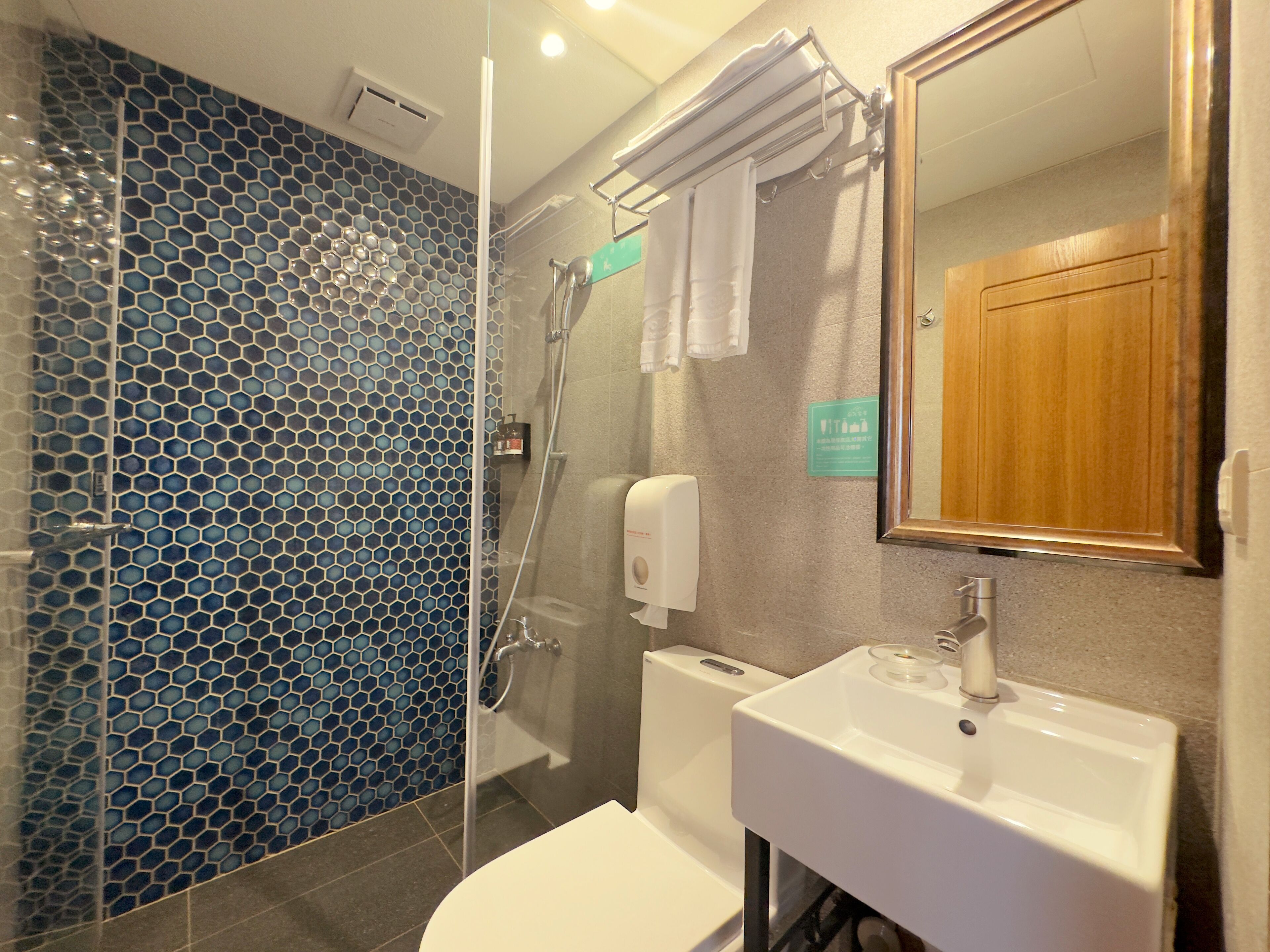 standard double room | bathroom | shower, hair dryer, towels, shampoo