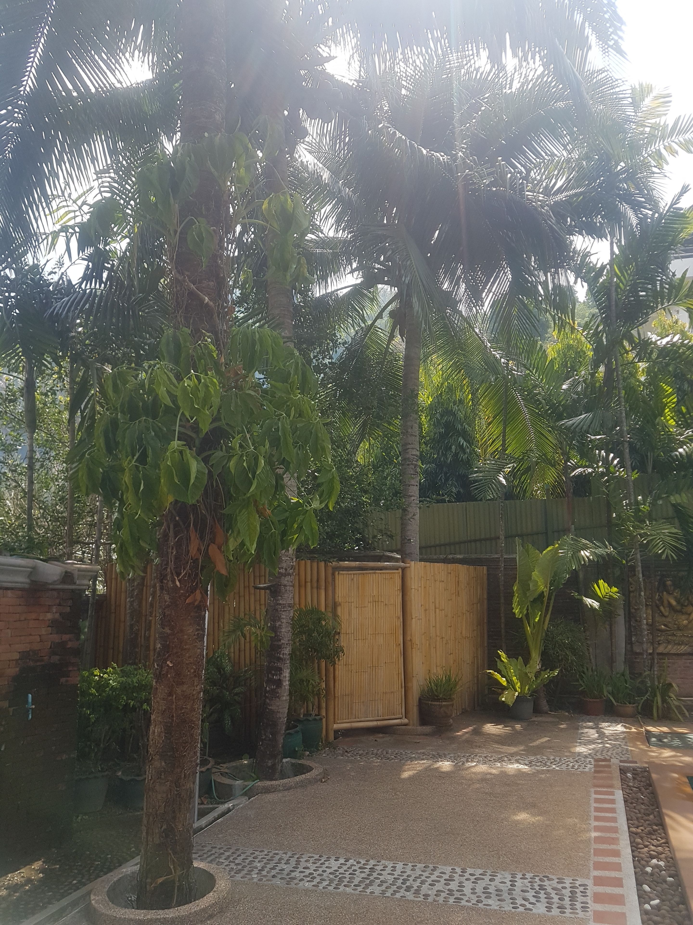 Photo - Kata Interhouse Resort by Haii Collection