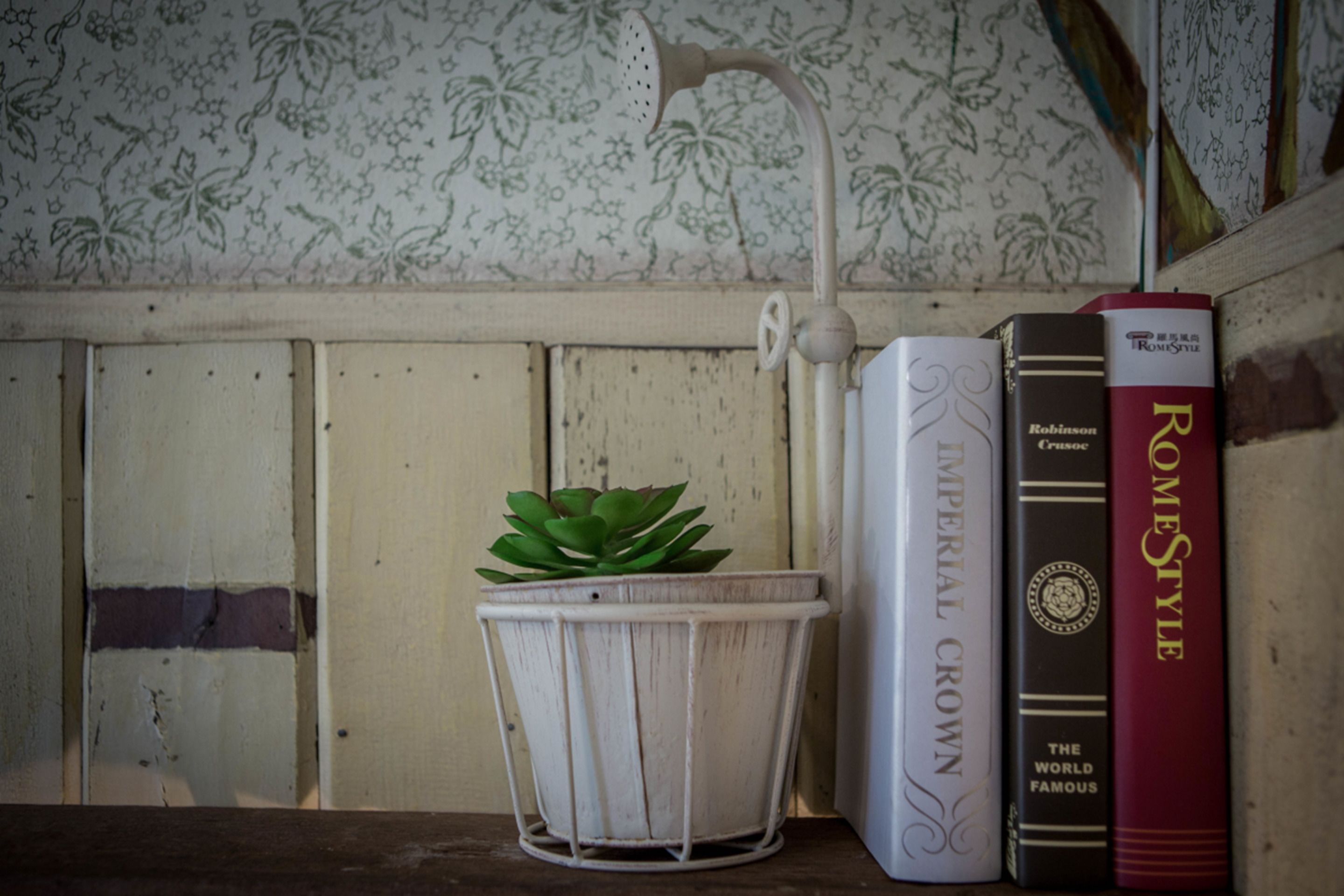 Ein Bücherregal mit Büchern und einer Topfpflanze.