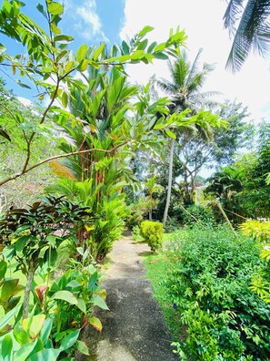Garden - Leijay Garden Retreat (Galle)