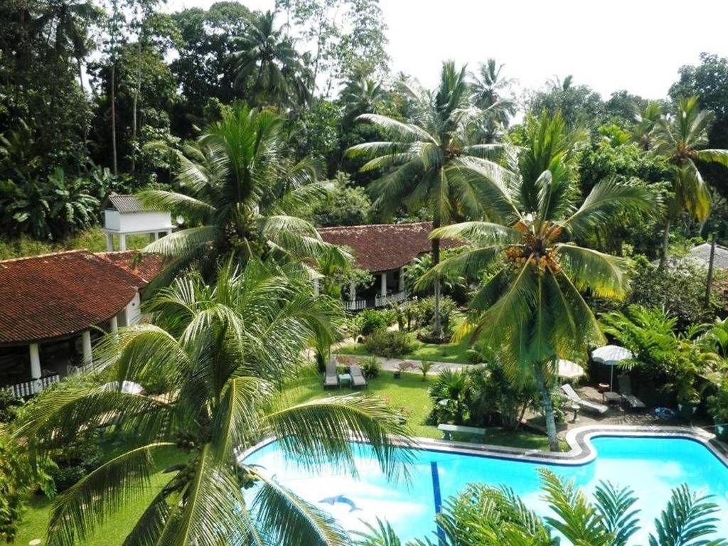 A pool surrounded by palm trees and a building with a red roof.